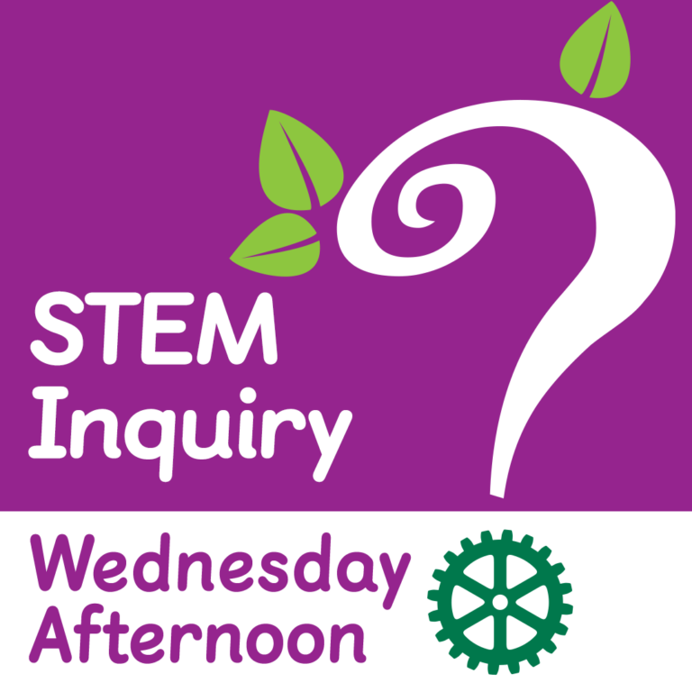 hands-on-virtual-stem-inquiry-wednesdays-4-00-pm-ages-6-8